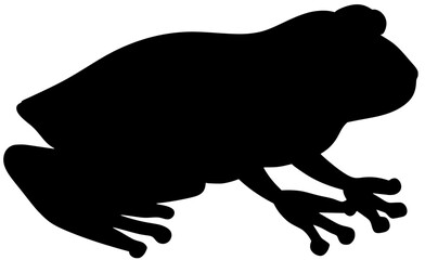 Coqui Frog Silhouette Shadow Vector