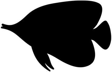 black silhouette of Butterfly fish