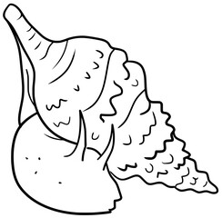 Conch Snail Vector Outline Line Art Illustration