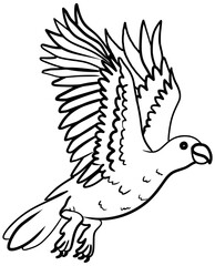 Cayman Brac Parrot Vector Outline Line Art
