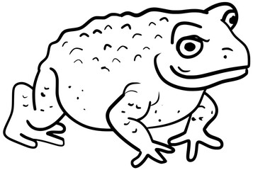 Cane Toad Vector Outline Line Art Drwing