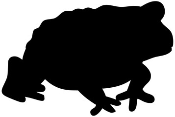 Cane Toad Silhouette Shadow Vector