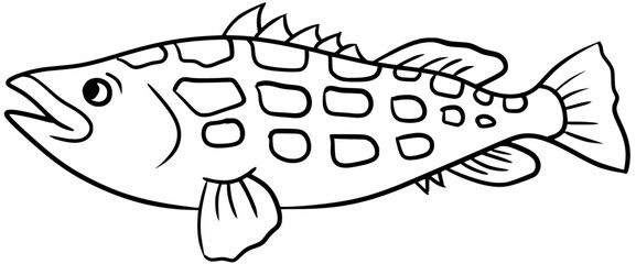 Vector illustration of a Calico Bass Fish Outline Drawing