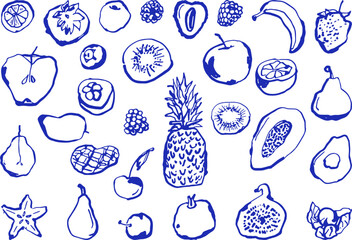 Hand drawn fruit illustration collection featuring a diverse selection of tropical and citrus produce