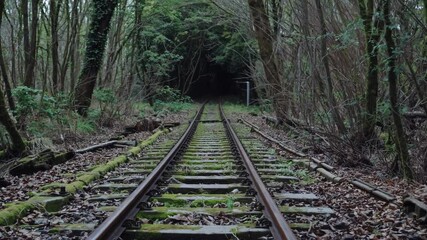 Overgrown railway track disappearing into dark forest tunnel surrounded by moss and trees

 - Powered by Adobe