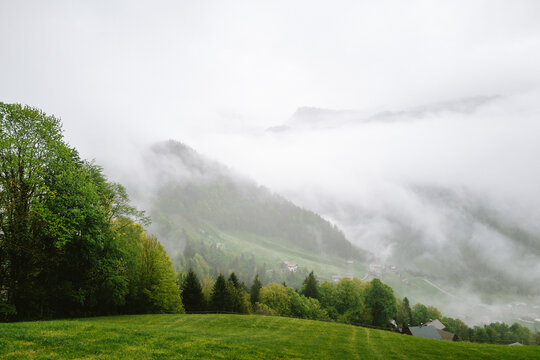 Nebelschwaden in den B&auml;umen und T&auml;lern der Berge