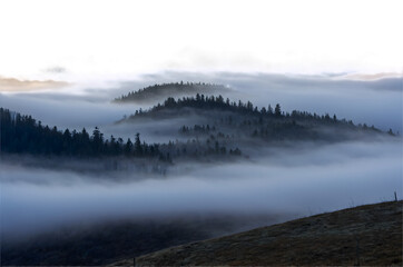 Fototapeta premium Misty Mountain Forest with Transparent Sky