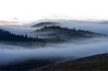 Misty Mountain Forest with Transparent Sky