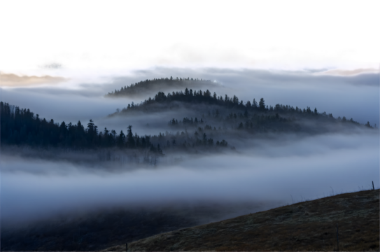 Misty Mountain Forest with Transparent Sky