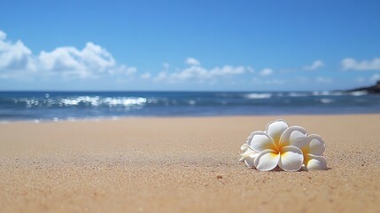 Obraz premium Serene Beachscape: Plumeria Blossom on Golden Sands
