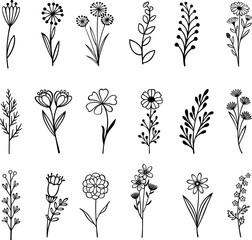 set of vector flowers