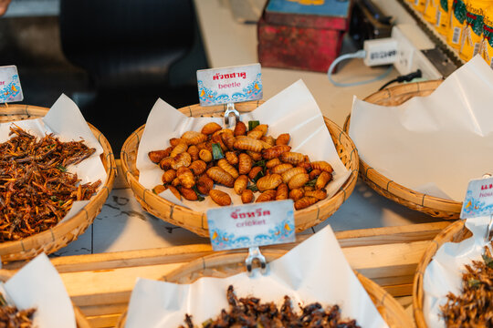 Fried Insects,Fried silkworms and other insect varieties are attractively arranged in woven baskets or various containers