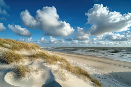 Sunny coastal scene with fluffy clouds overhead, textured sand dunes and beach grass in the foreground, calm ocean waves stretching to the horizon under a vibrant blue sky - Powered by Adobe