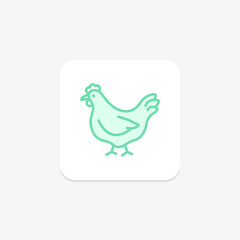 Chicken In Organic Farm, vector, pixel perfect, illustrator file