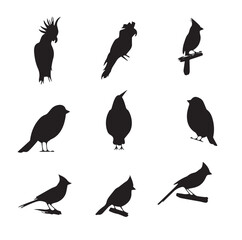 Black and White Birds Vector Set 