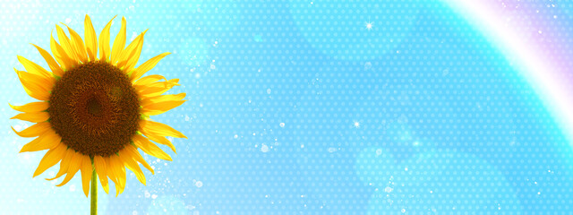 青空とひまわり 背景素材 夏 バナー 虹
