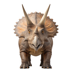 Fototapeta premium Triceratops, a three horned herbivorous dinosaur from the late cretaceous period, stands majestically on a transparent background, showcasing its powerful build and distinctive horns
