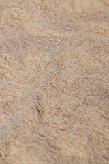 wheat flour with bran without peeling, healthy, eco-friendly cereal flour