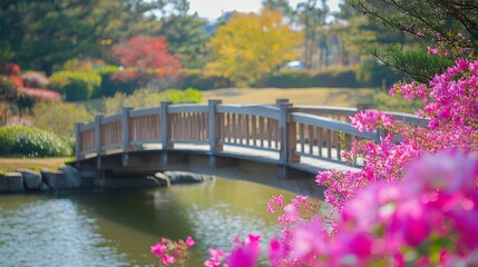 bridge in autumn park