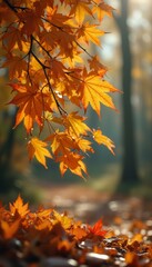 Golden maple leaves in autumn sunlight create a vibrant seasonal background with blurred forest backdrop.