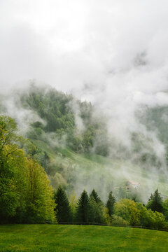 Nebelschwaden in den B&auml;umen und T&auml;lern der Berge