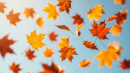Orange and red leaves are falling