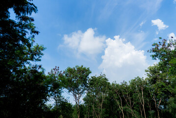 clear blue sky background,clouds with background, Blue sky background with tiny clouds. White fluffy clouds in the blue sky. 