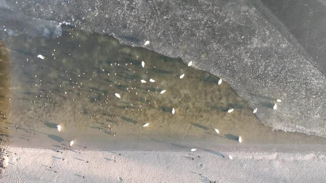 Frozen lake in the morning fog on a sunny day aerial shot from a drone. Pogoria lake in winter, Dabrowa Gornicza, Poland. Ice shrouded lake in fog.