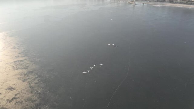 Frozen lake in the morning fog on a sunny day aerial shot from a drone. Pogoria lake in winter, Dabrowa Gornicza, Poland. Ice shrouded lake in fog.