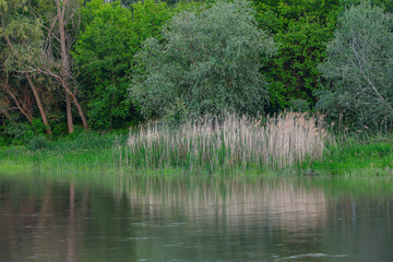 Scenic summer landscape in Lunca Muresului National Park, Romania, Europe