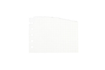 Torn paper notebook craft paper clipart element