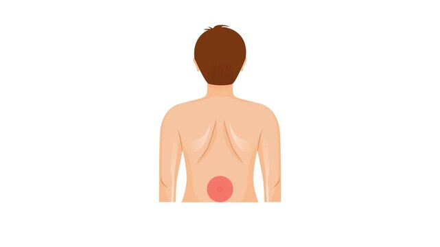 Human waist ache animation on white background. Spot pain area animation. 4k