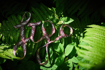 Midsummer celebrity Latvian national holiday slogan Ligo, on Lush Green Ferns.