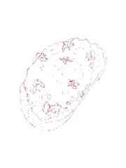 Vector illustration of Avocado Toast on white background