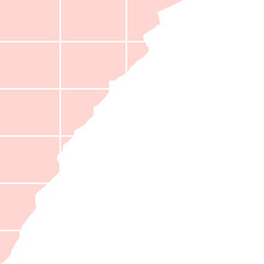 Grid Torn Paper Corner