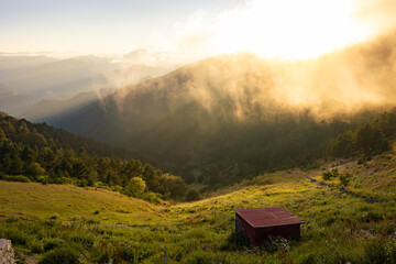 Landscape of the forest covered mountain range and valley with mist at sunset