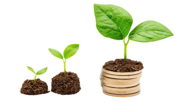 An image showcasing the early stages of plant growth