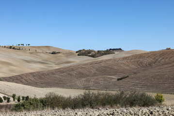  The rural landscape near San Quirico in Tuscany. Italy