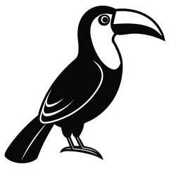 toucan vector sihouette