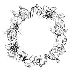Gooseberry Currant berries, leaves and flowers, water splash dew drops, wreath hand drawn in vector ink. Ripe garden juneberry casseille jostaberry. Isolated circle frame. Fresh grocery, dessert menu