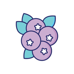 Blueberry  Vector icon