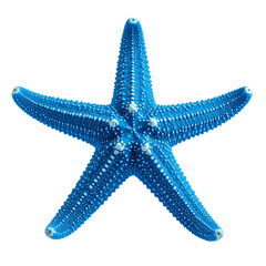 Ocean's Gem: A vibrant, five-pointed starfish with a textured surface, radiating the essence of aquatic serenity. Capturing the intricate beauty of marine life. 