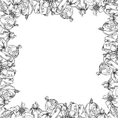 Gooseberry garden Currant berries, flowers in water dew drops hand drawn in vector ink. Isolated square border frame illustration. Home preserves, recipe book, cafe menu, stationery, food store decor