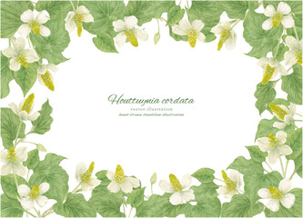 水彩で描いたドクダミの背景フレーム素材