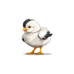 Fototapeta premium baby chicken