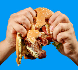 broken burger in human hands