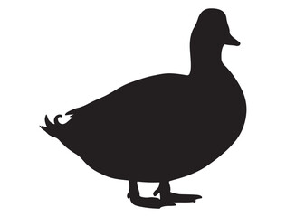 DUCK SILHOUETTE