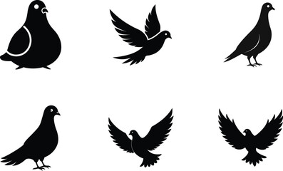 Variety of the Silhouette of Flying Birds in Black	