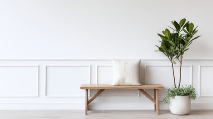 elegant minimalist interior with empty white wall, wooden bench with linen pillow, green plant in ceramic pot, balanced 