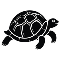 Turtle vector